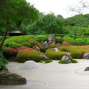 The photo of gardening